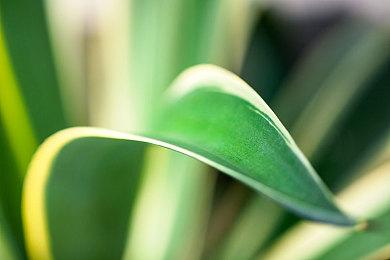 《天之少女》官方中文版宣布2025年1月22日登陆Steam